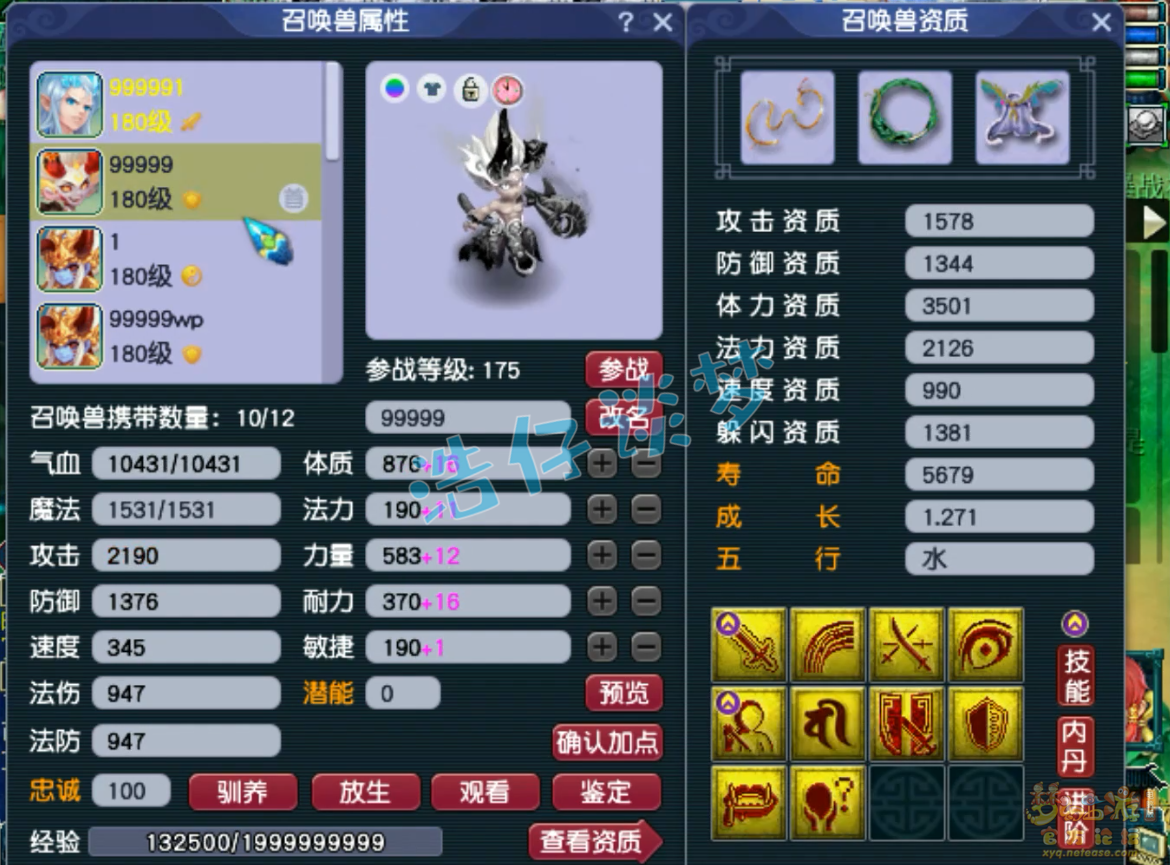 梦幻西游咒师普陀装备展示图175级