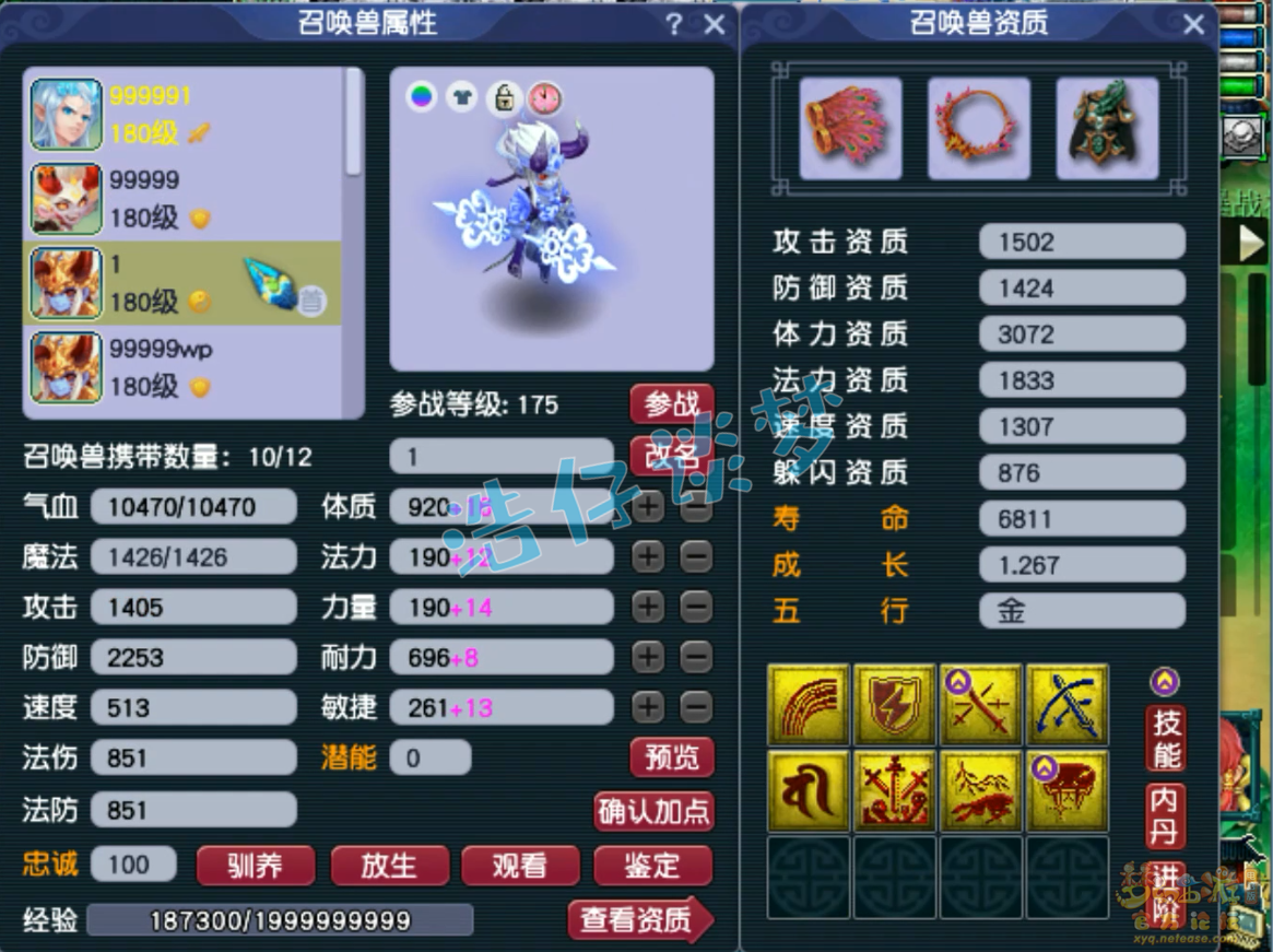 梦幻西游咒师普陀装备展示图175级