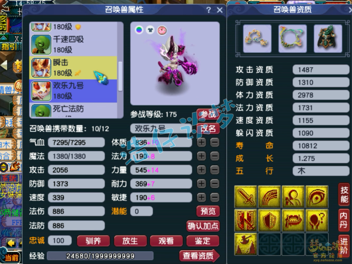 梦幻西游帮战175狮驼岭装备展示图