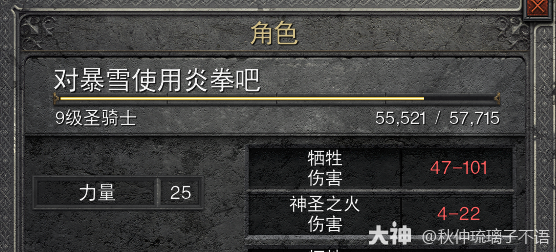 暗黑2圣火光环圣骑士怎么玩