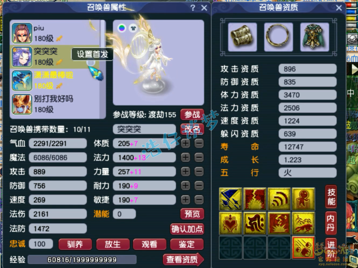 梦幻西游175女儿村装备展示图
