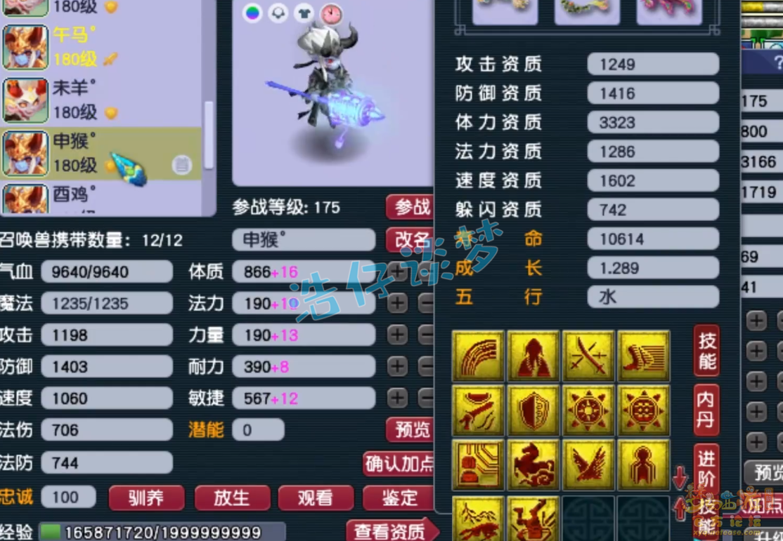 梦幻西游服战175级五庄观装备展示图