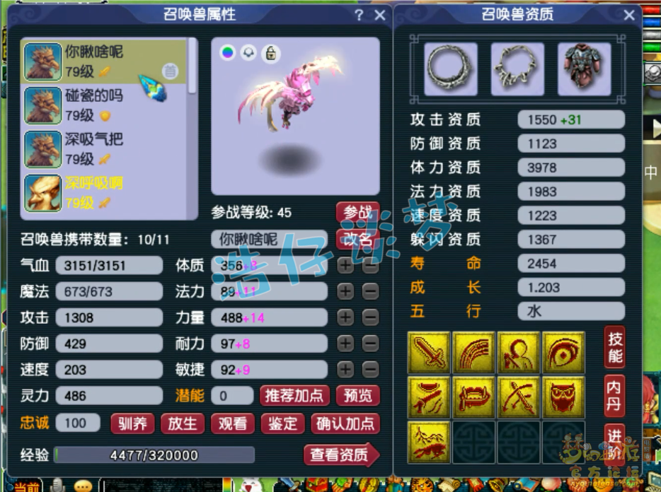 梦幻西游69级大唐装备展示图