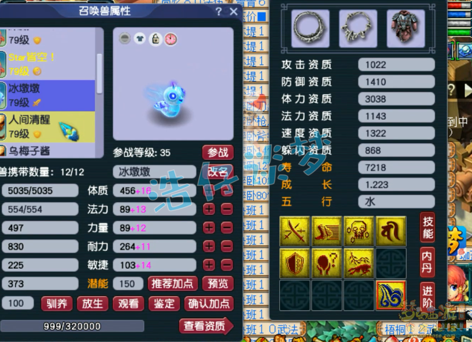 梦幻西游69级东海渊装备展示图