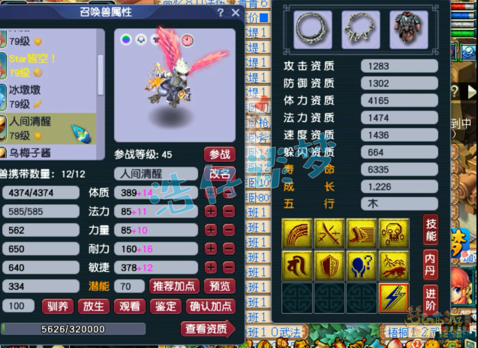 梦幻西游69级东海渊装备展示图