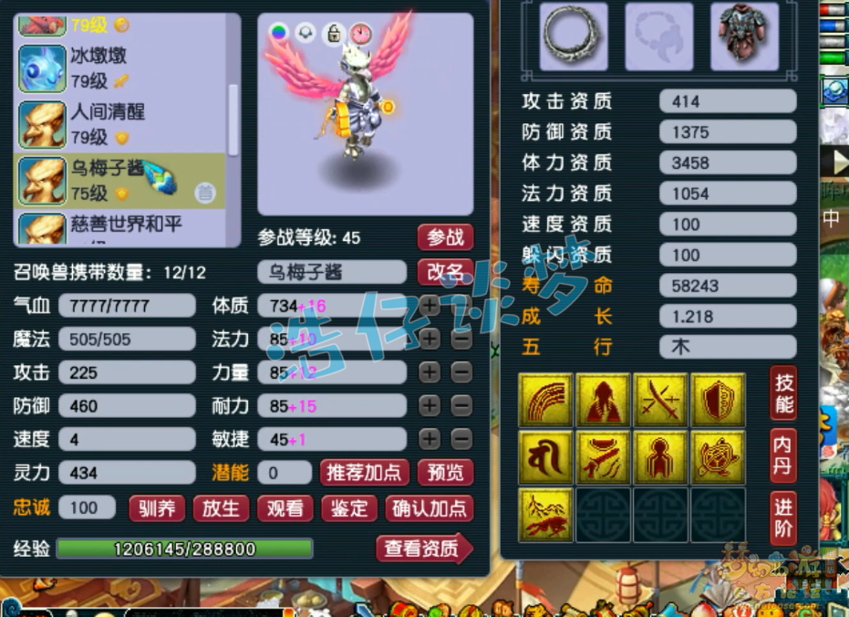 梦幻西游69级东海渊装备展示图