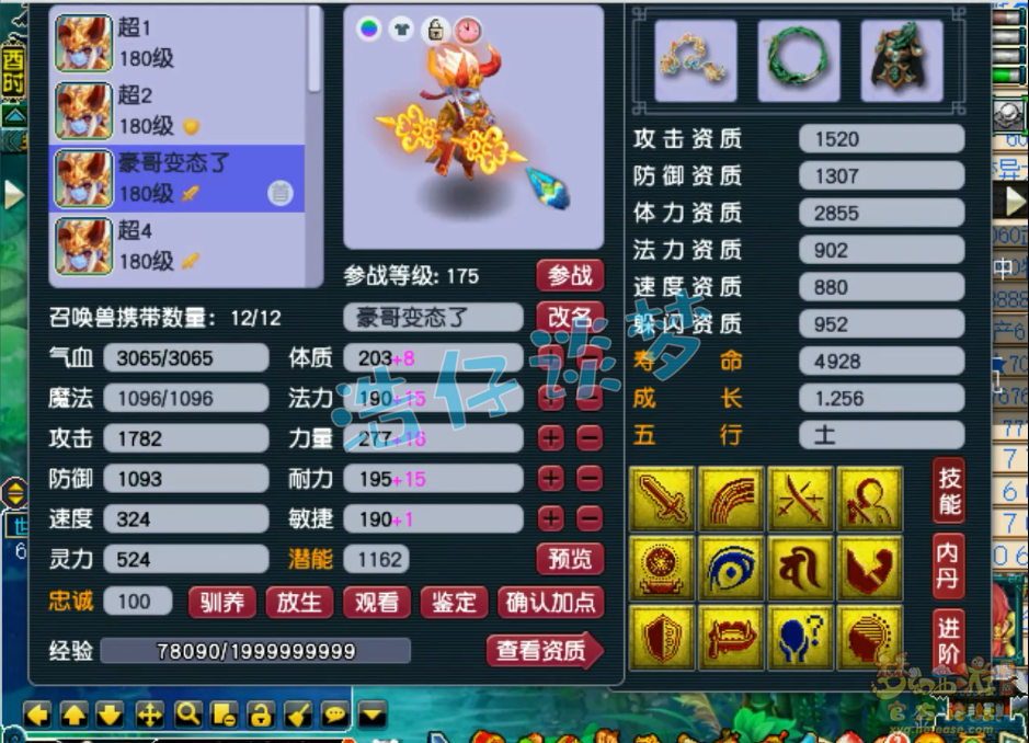 梦幻西游服战五庄观175级装备展示图