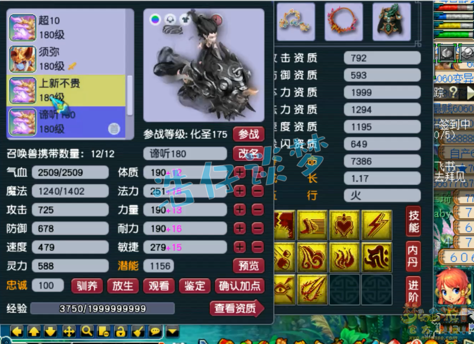 梦幻西游服战五庄观175级装备展示图