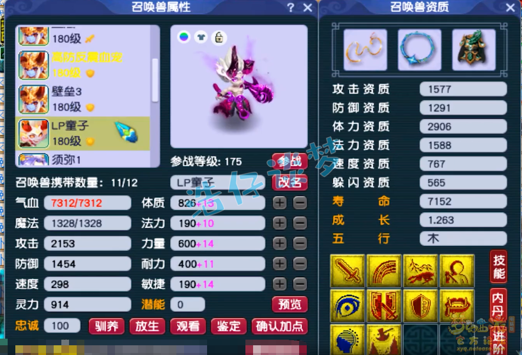 梦幻西游175单挑神木林装备展示图