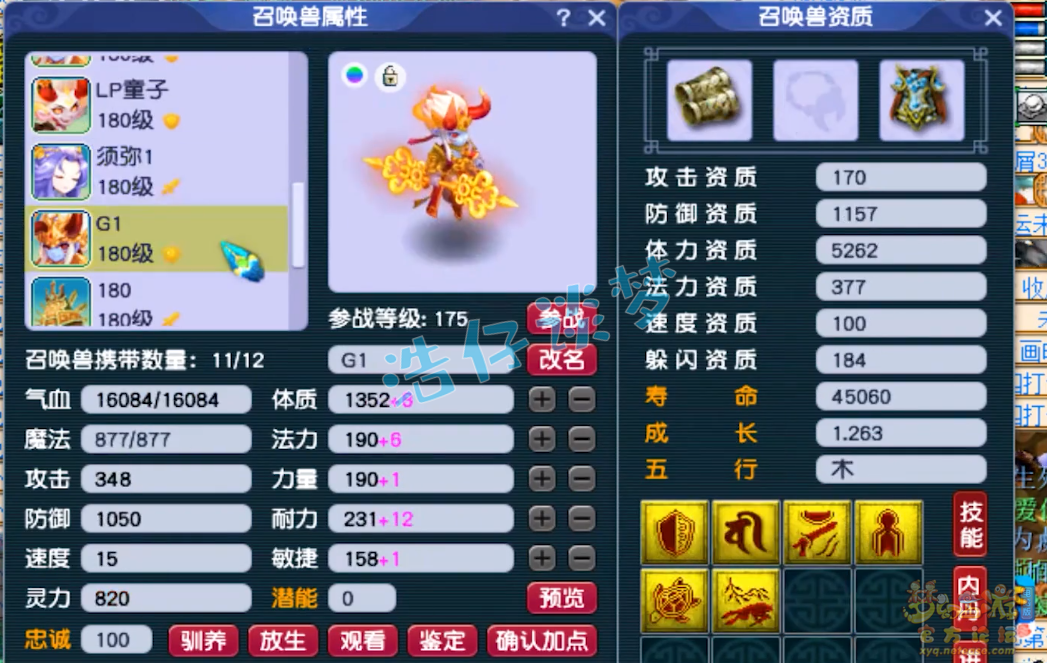 梦幻西游175单挑神木林装备展示图