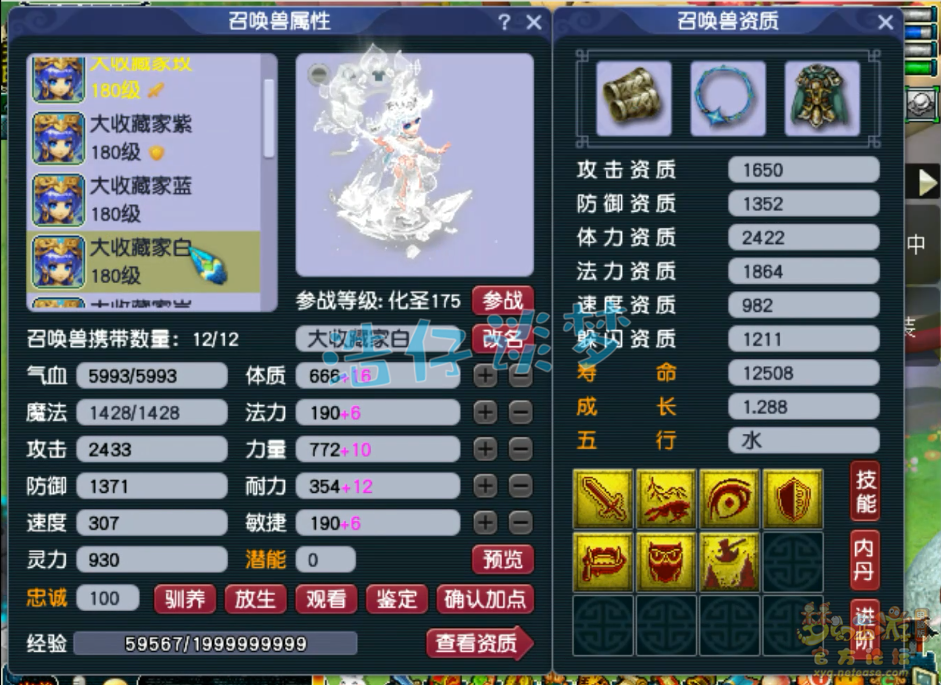 梦幻西游化生寺装备175级展示图