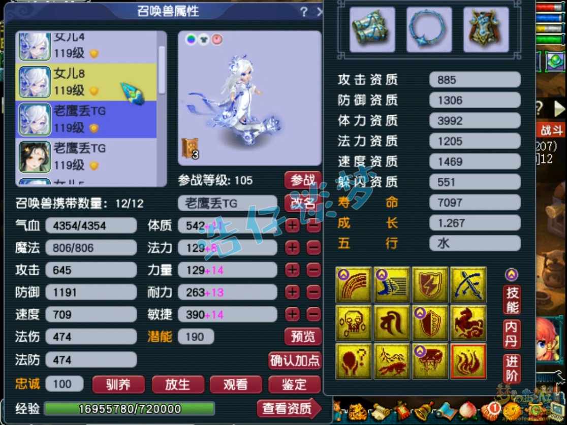 梦幻西游109级封女儿村装备展示图