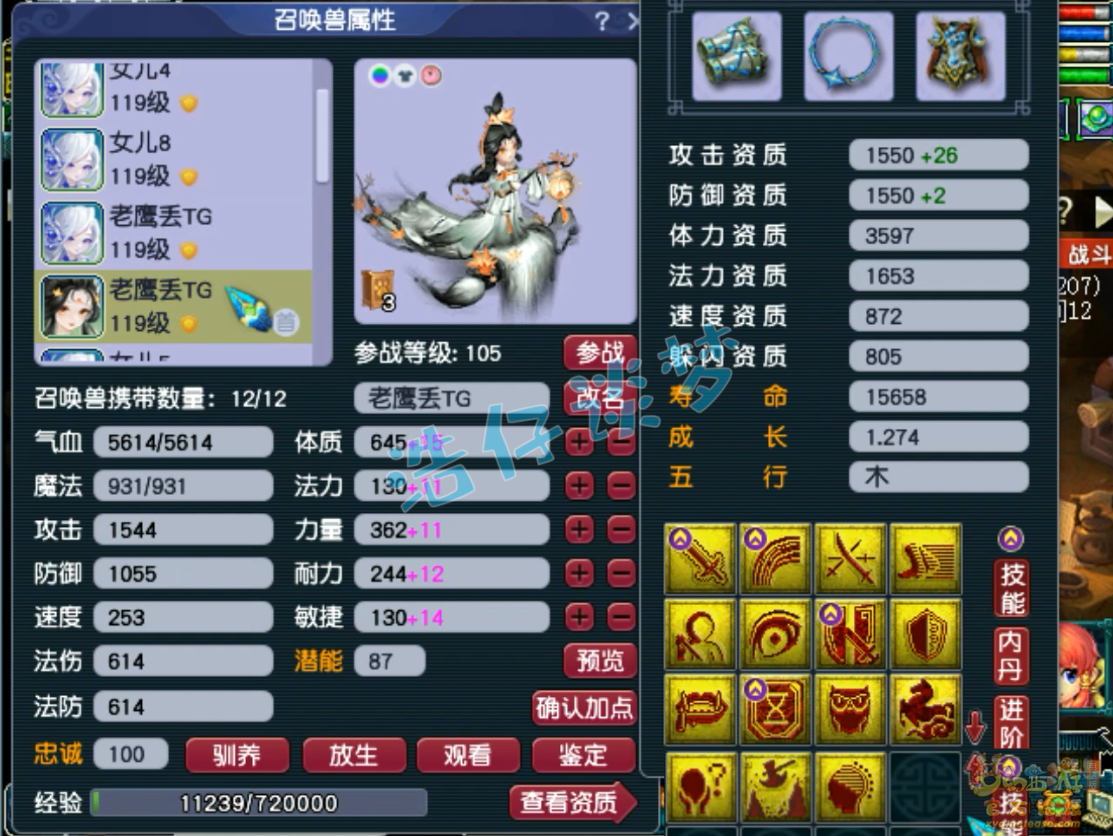 梦幻西游109级封女儿村装备展示图