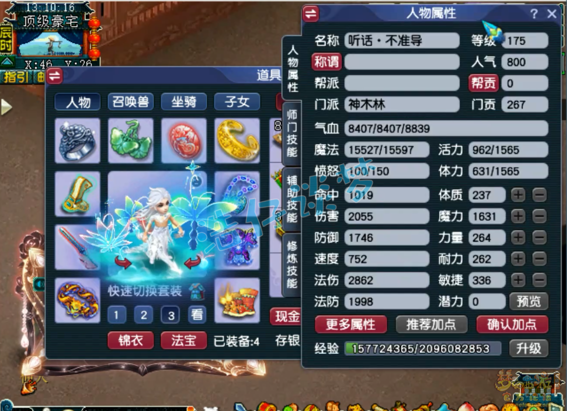 梦幻西游竞速神木林装备展示图175级