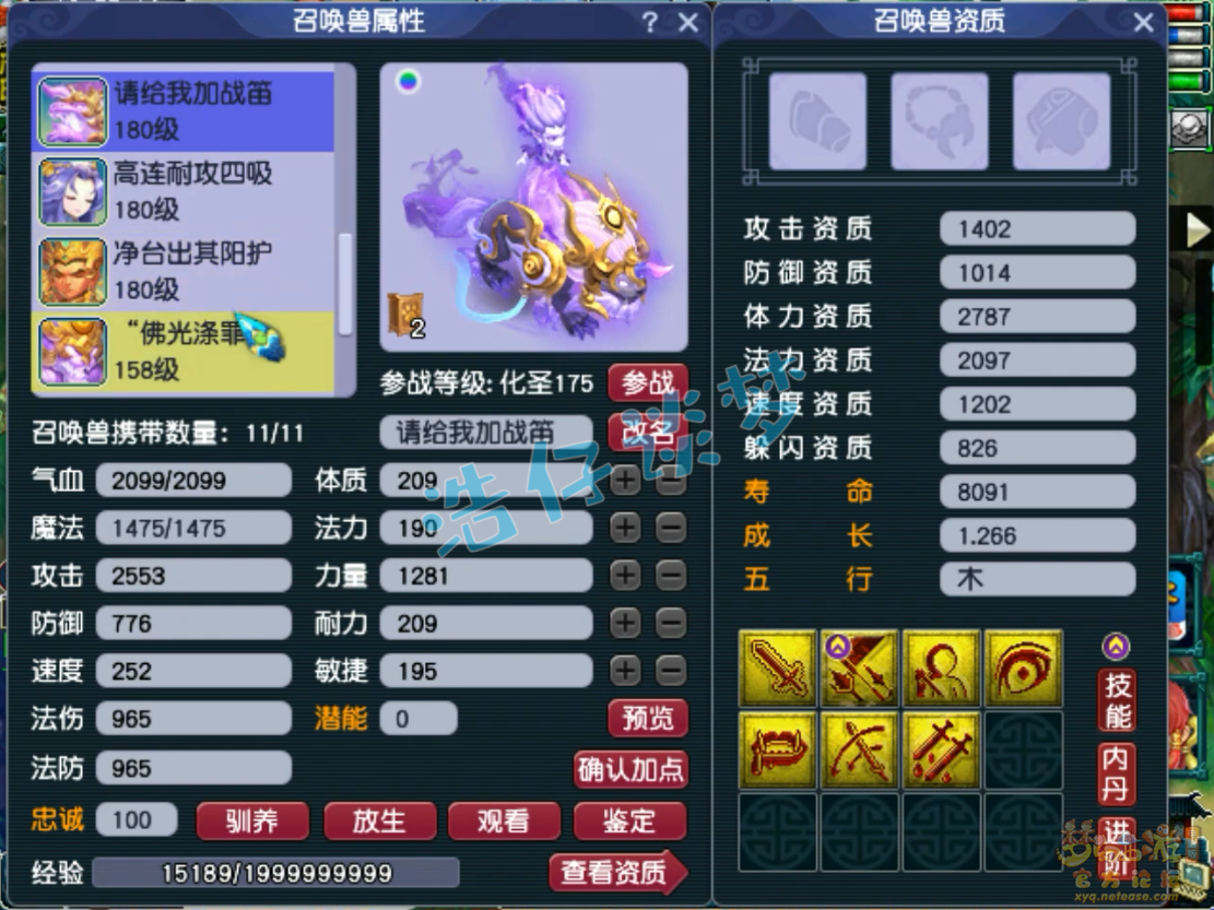 梦幻西游力化生175级装备展示图