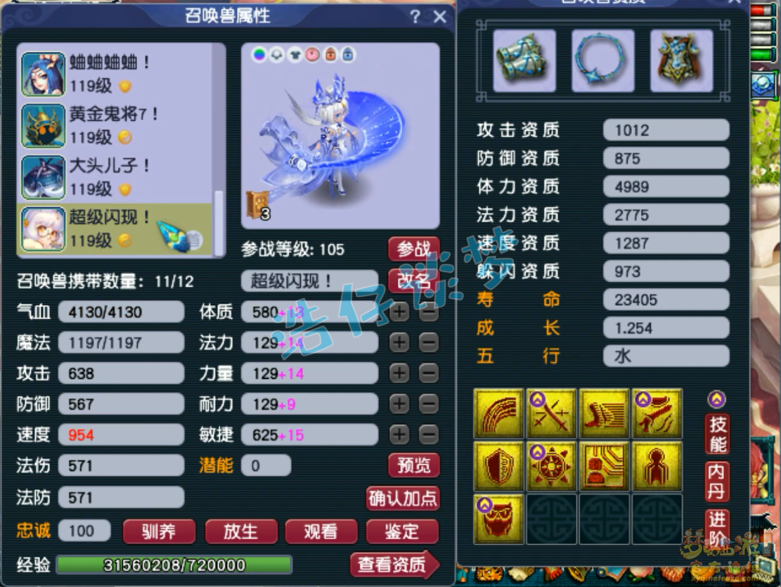 梦幻西游109物暴狮驼岭装备展示图