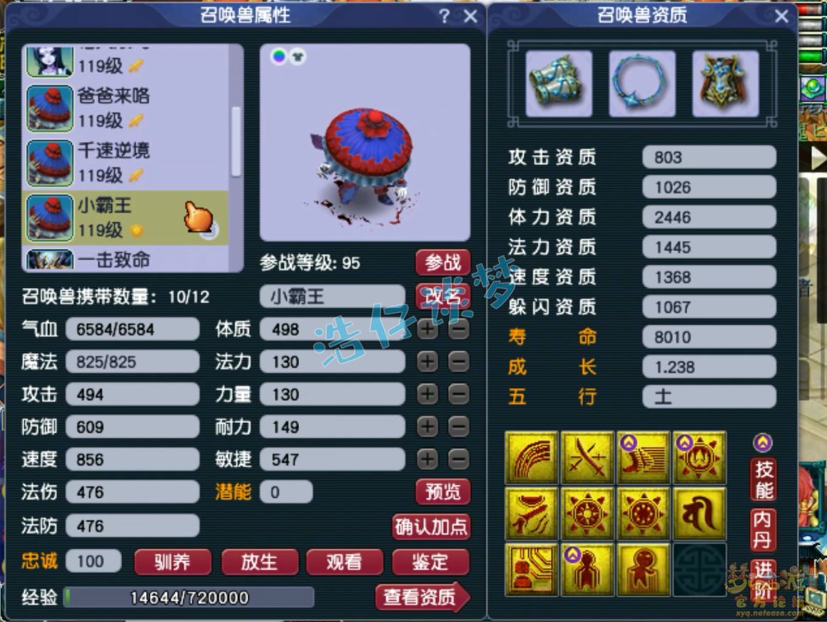 梦幻西游109级PK化生寺装备展示图