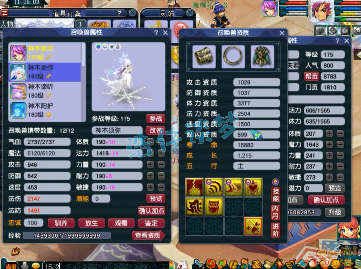 梦幻西游任务神木林装备展示图175级