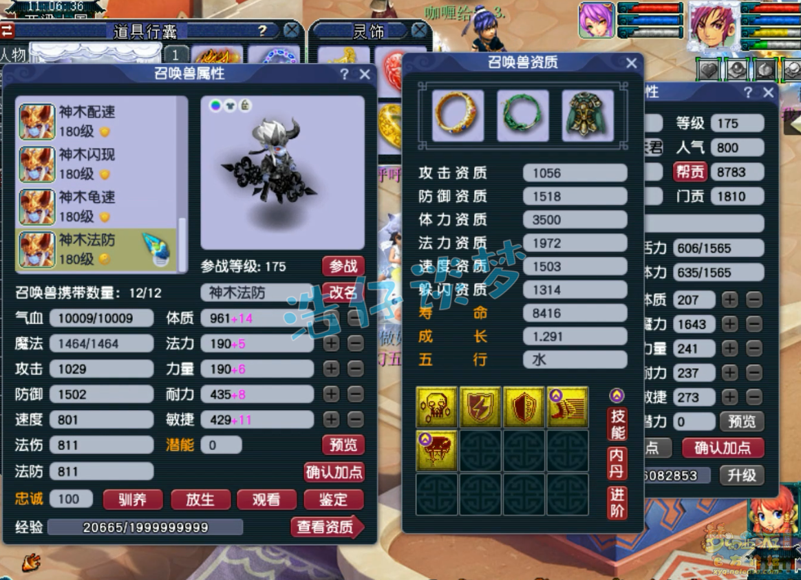 梦幻西游任务神木林装备展示图175级