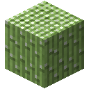 我的世界植物魔法装饰方块怎么合成