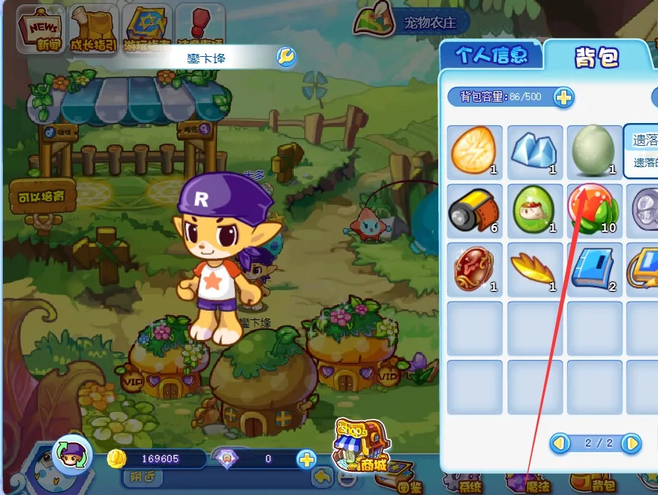 洛克王国遗落的蛋在哪里拾取2026