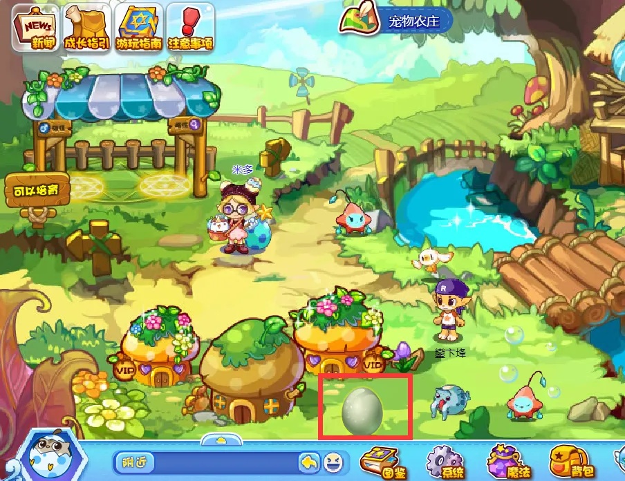 洛克王国遗落的蛋在哪里拾取2026