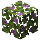 我的世界原版装饰品合成表大全图片2026