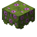 我的世界原版植物合成表大全图片2026