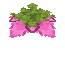 我的世界原版植物合成表大全图片2026