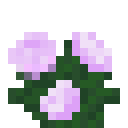 我的世界原版植物合成表大全图片2026