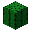 我的世界原版植物合成表大全图片2026