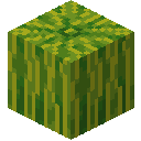 我的世界原版植物合成表大全图片2026