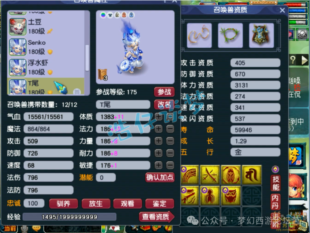 梦幻西游175花果山装备选择