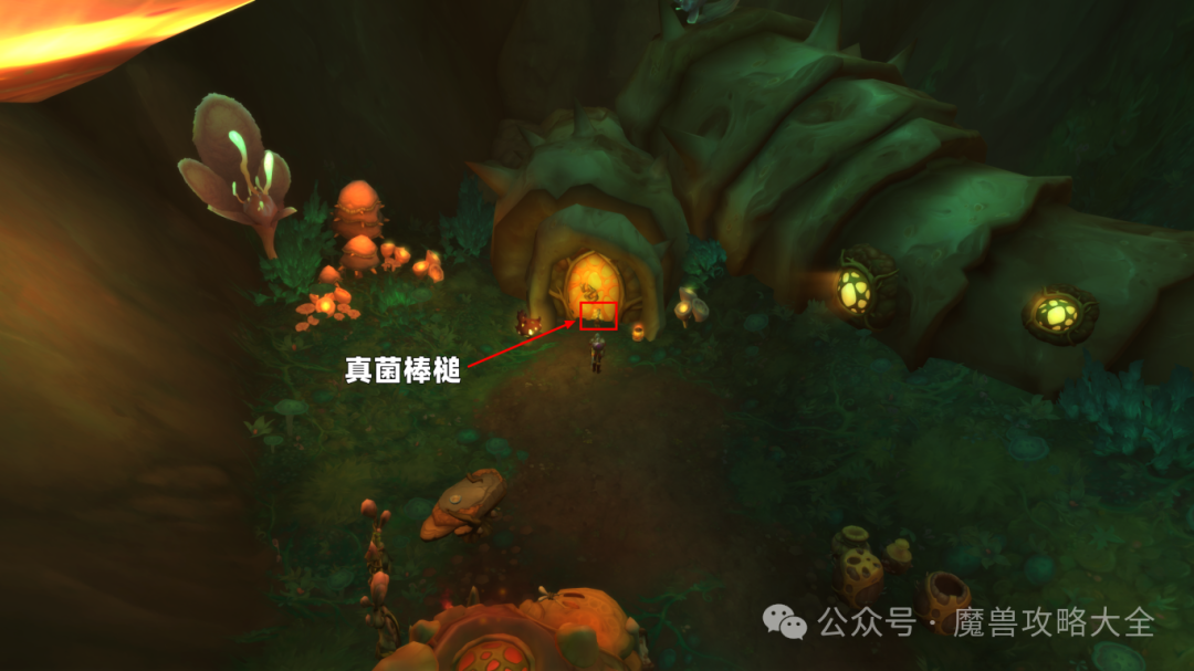 魔兽世界未被污染的林地爬行者怎么获得