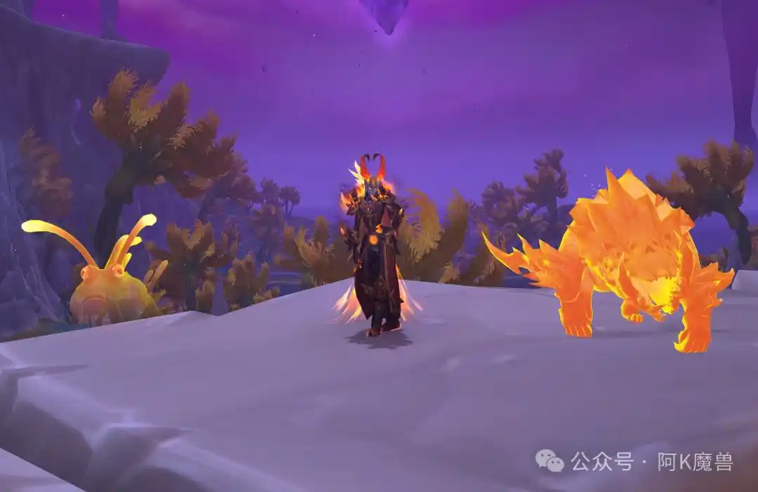 魔兽世界12.0鎏金宝宝怎么获得