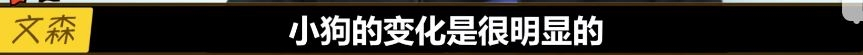 拳头高管谈LPL：厂长很固执，UZI今年真的变了，JKL前途无限！