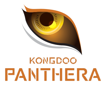 统一品牌！韩国OC队伍Kongdoo Panthera正式更名为Griffin