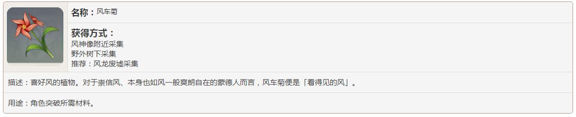 原神风车菊能做什么