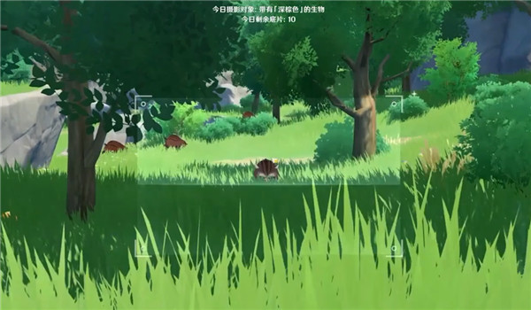 原神深棕色的生物是什么
