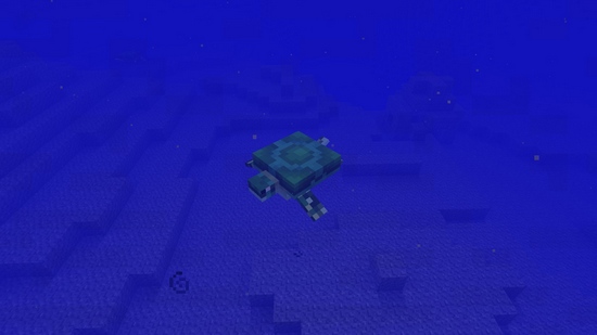 我的世界在哪里可以找海龟