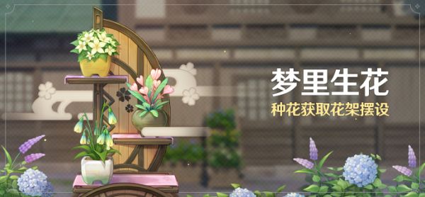 原神暂无可用的种子怎么解决