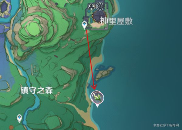 原神海草采集地点一览