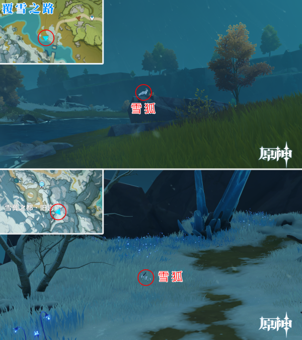 原神2.3雪狐在哪