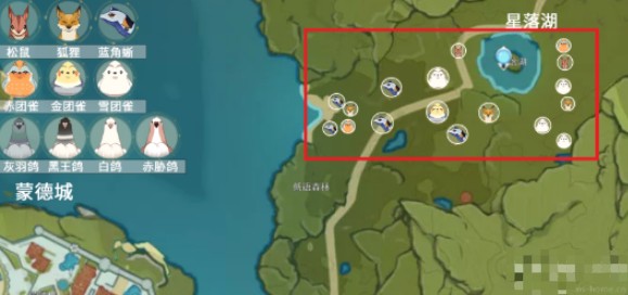 原神团雀在哪里刷新