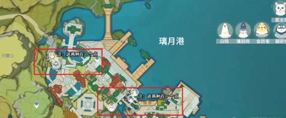 原神团雀在哪里刷新