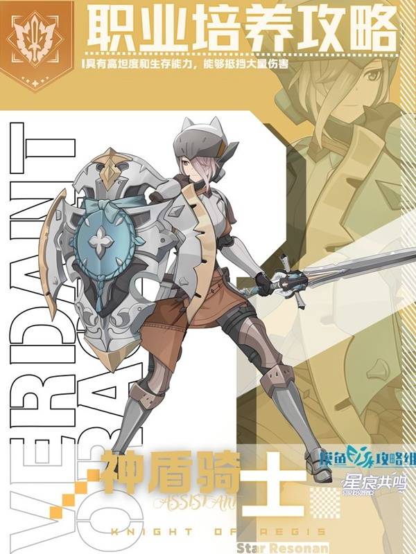 星痕共鸣神盾骑士光盾回复流培养攻略