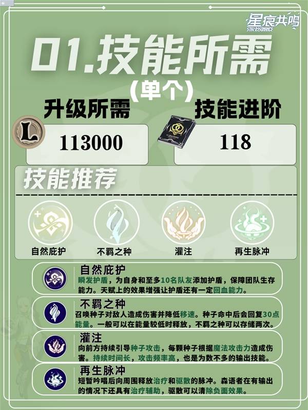 星痕共鸣森语者惩击流培养攻略