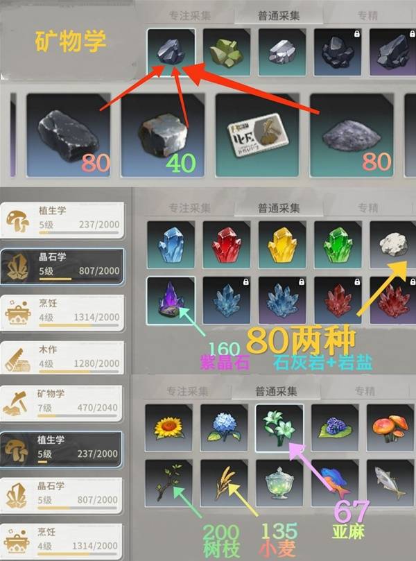 星痕共鸣每周生活任务攻略