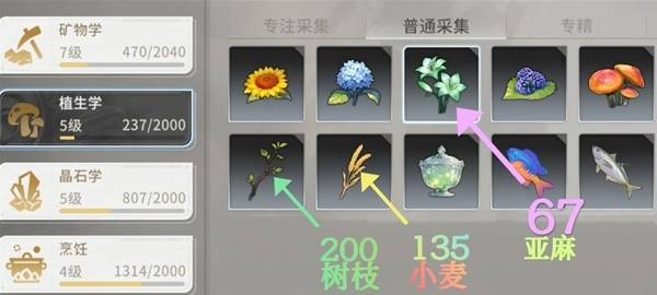 星痕共鸣每周生活任务攻略