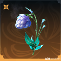 永劫无间蜃景苞多少钱